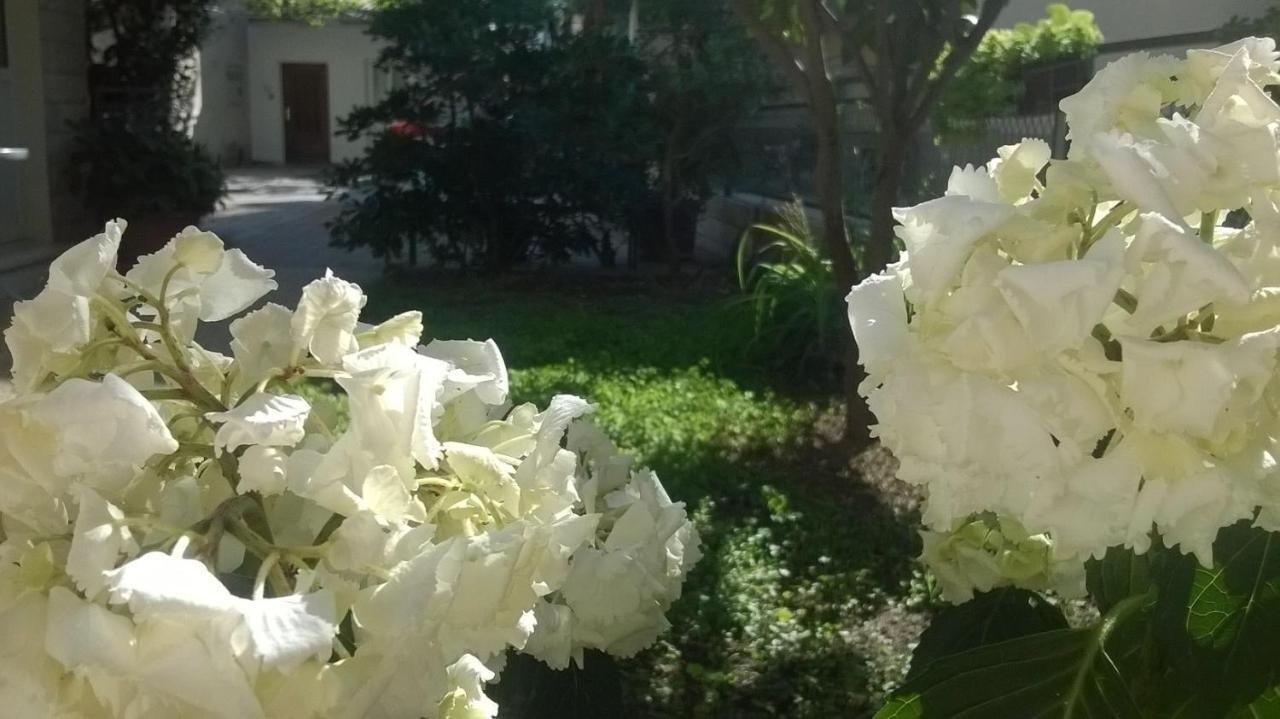 Apartman Renata Omiš Extérieur photo