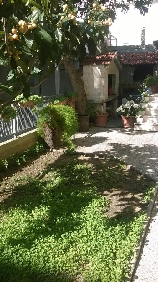 Apartman Renata Omiš Extérieur photo